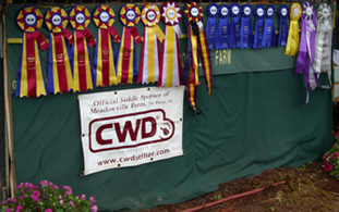 Winning-est banner EVER!